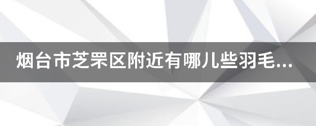 为什么篮球后卫需要特别的体能训练_2